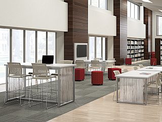 Govt Library